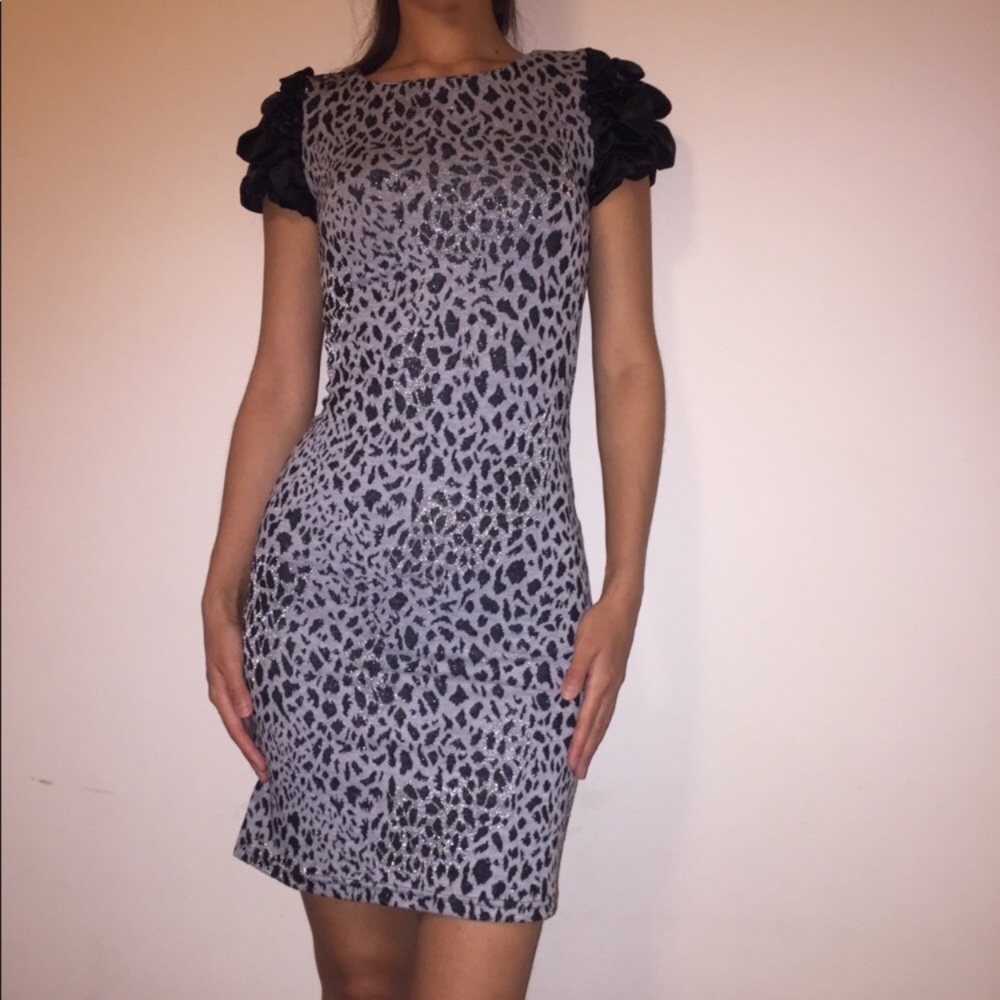 Ceber Dress with puffy sleeves